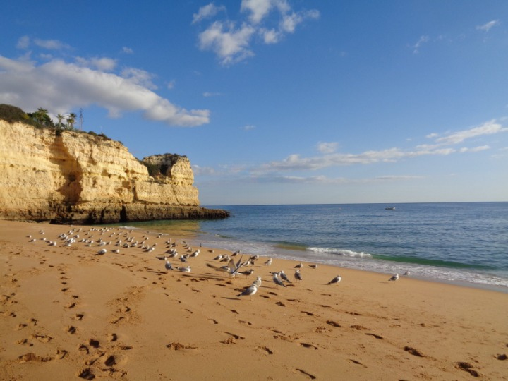 PORTUGAL VACATIONS